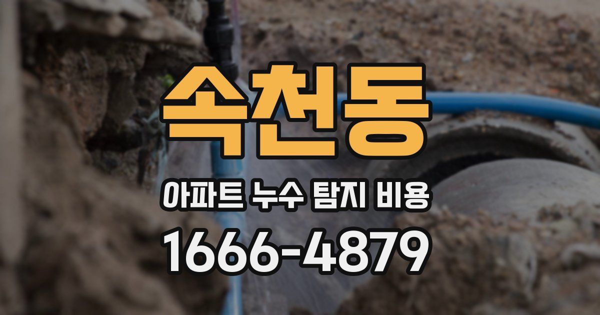 속천동 아파트 누수 탐지 비용