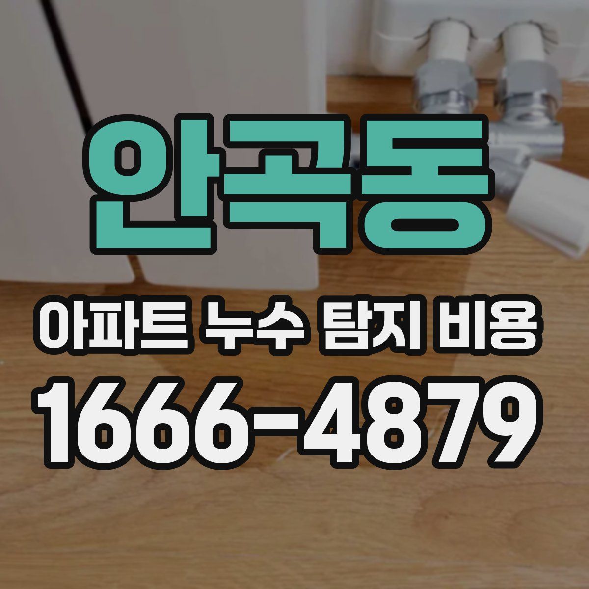 안곡동 아파트 누수 탐지 비용