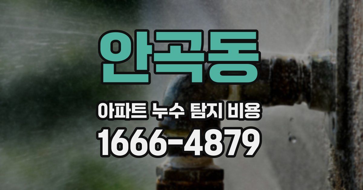 안곡동 아파트 누수 탐지 비용