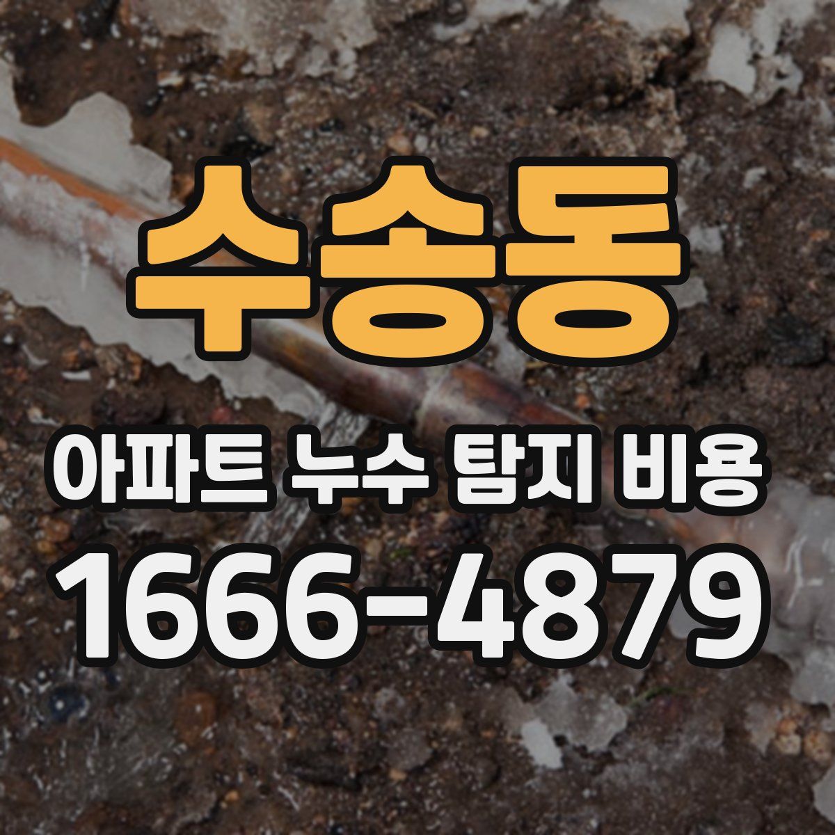 수송동 아파트 누수 탐지 비용