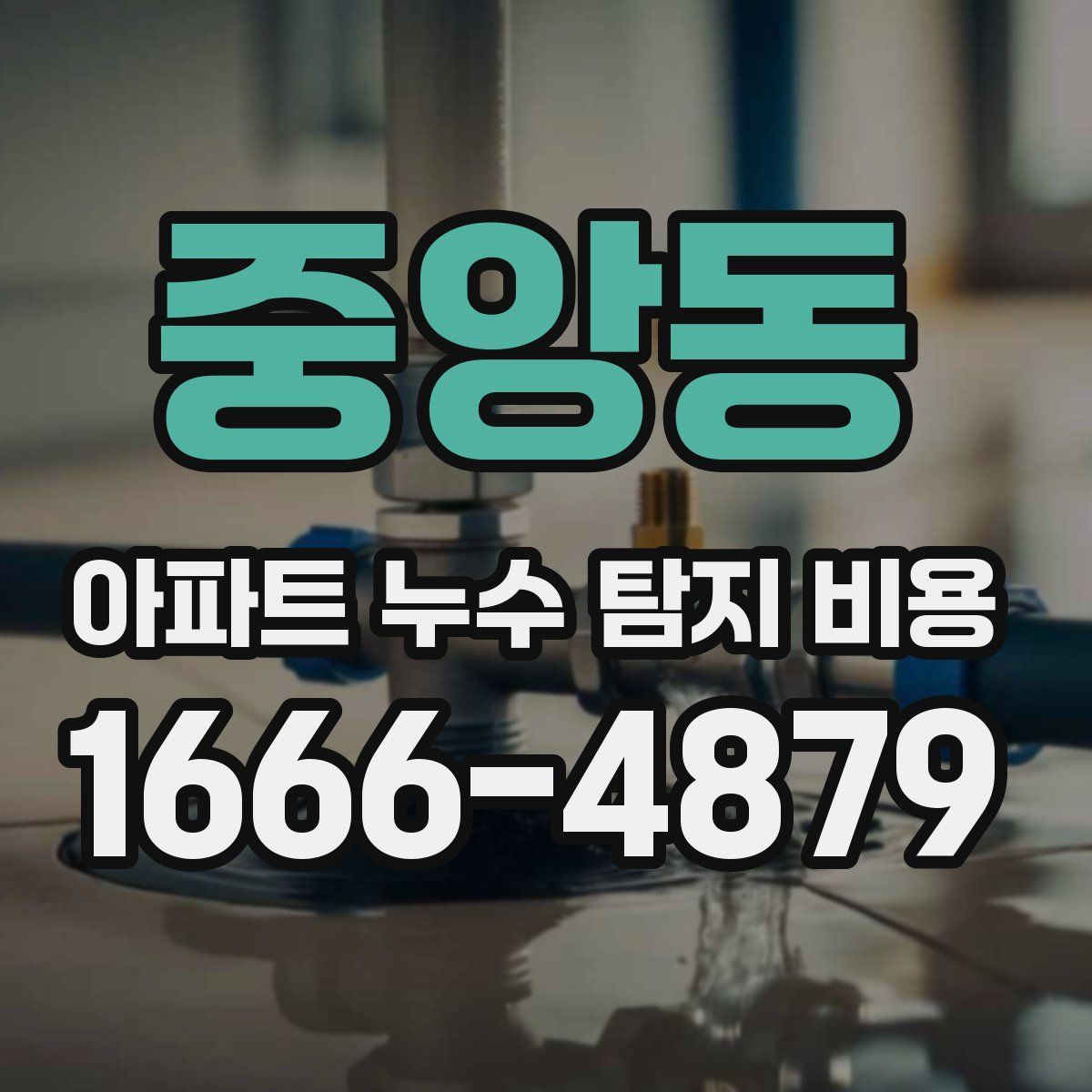 중앙동 아파트 누수 탐지 비용