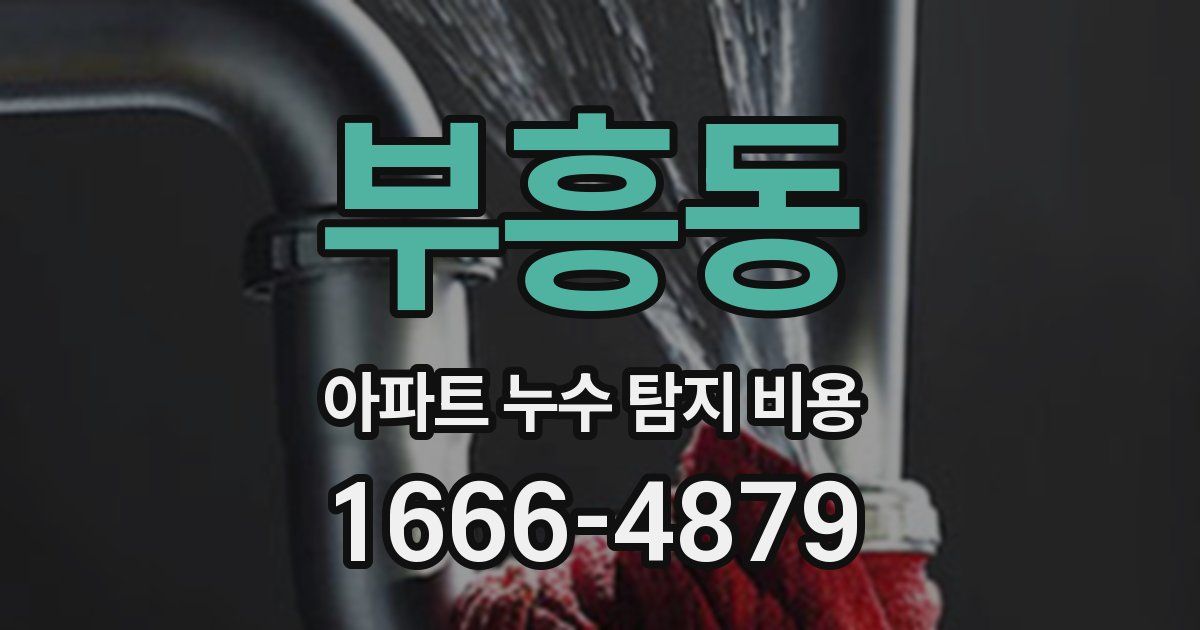부흥동 아파트 누수 탐지 비용
