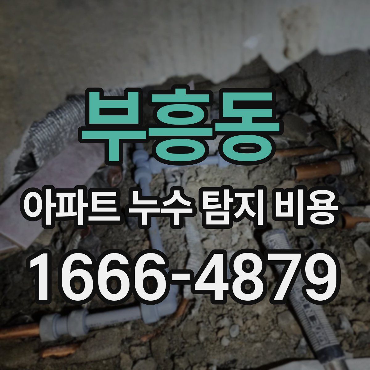 부흥동 아파트 누수 탐지 비용
