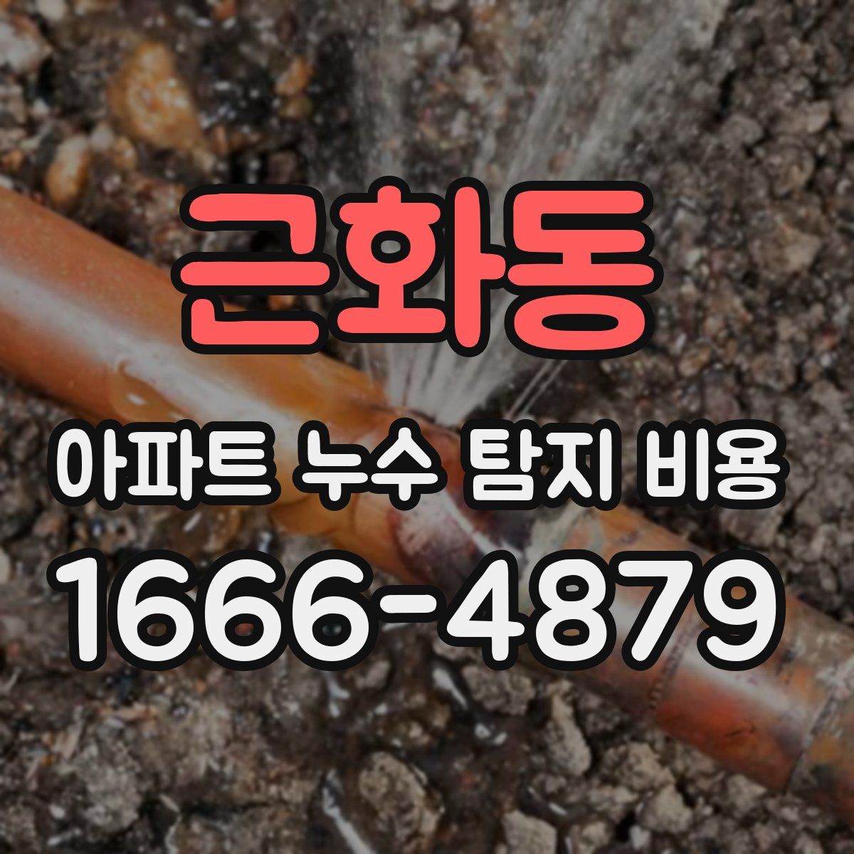 근화동 아파트 누수 탐지 비용
