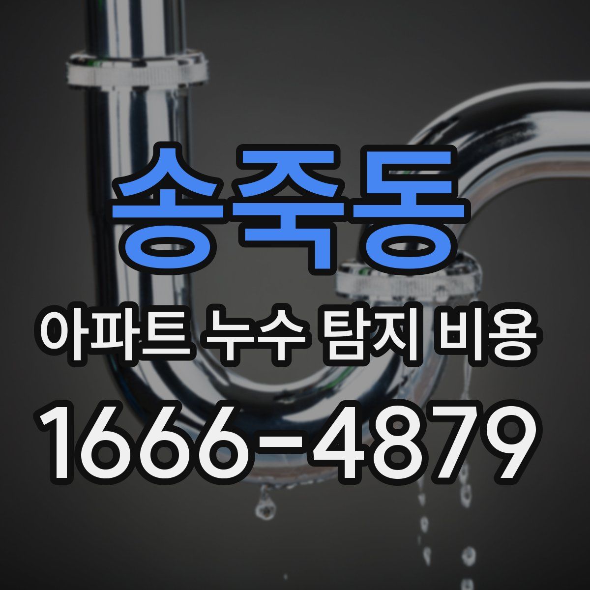 송죽동 아파트 누수 탐지 비용
