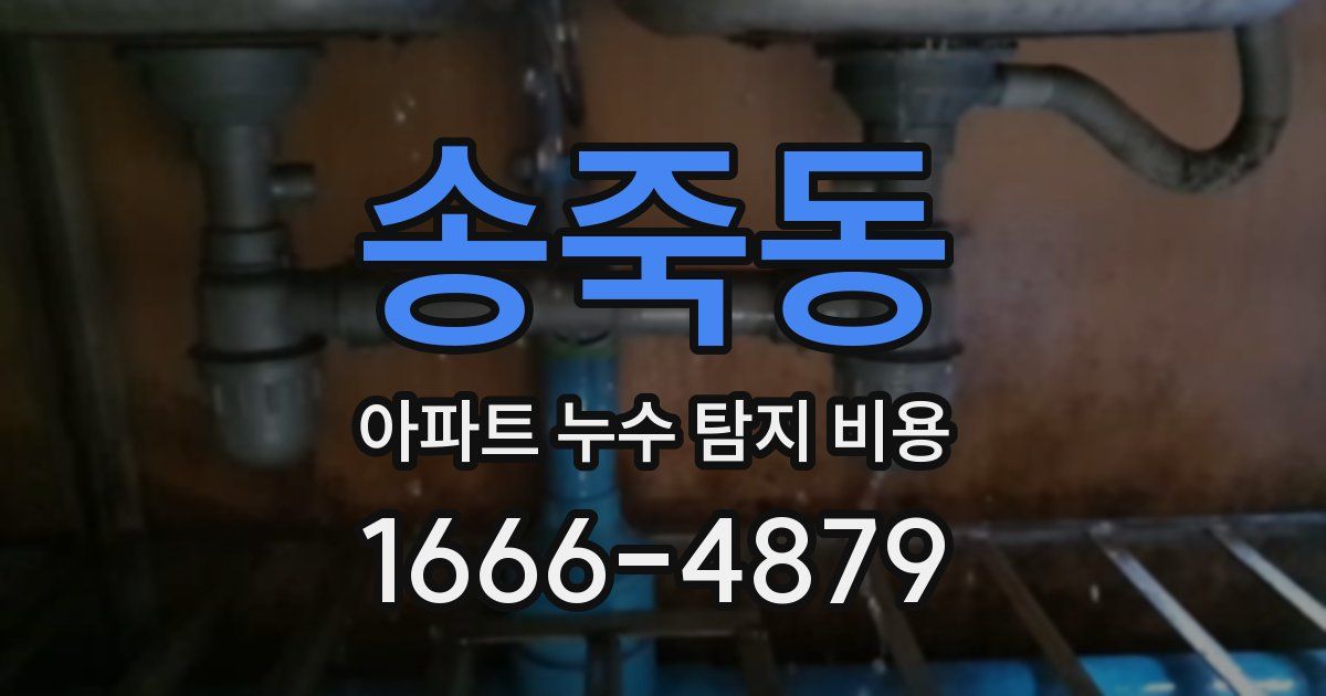 송죽동 아파트 누수 탐지 비용