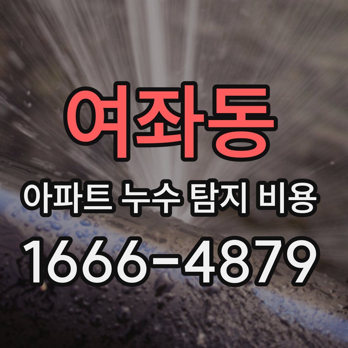 여좌동 아파트 누수 탐지 비용