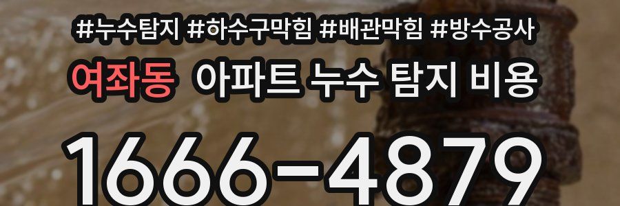 여좌동 아파트 누수 탐지 비용