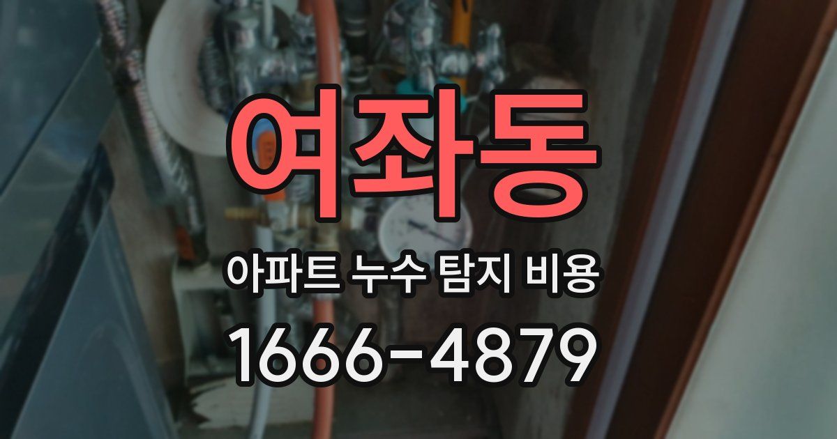여좌동 아파트 누수 탐지 비용