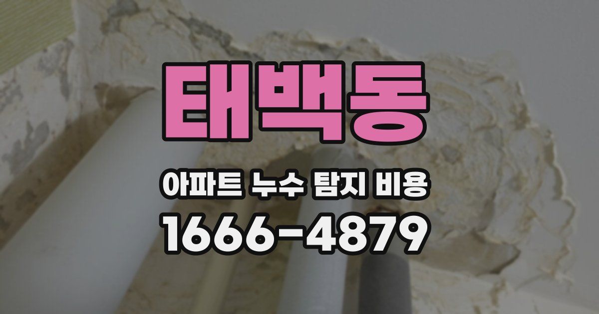태백동 아파트 누수 탐지 비용