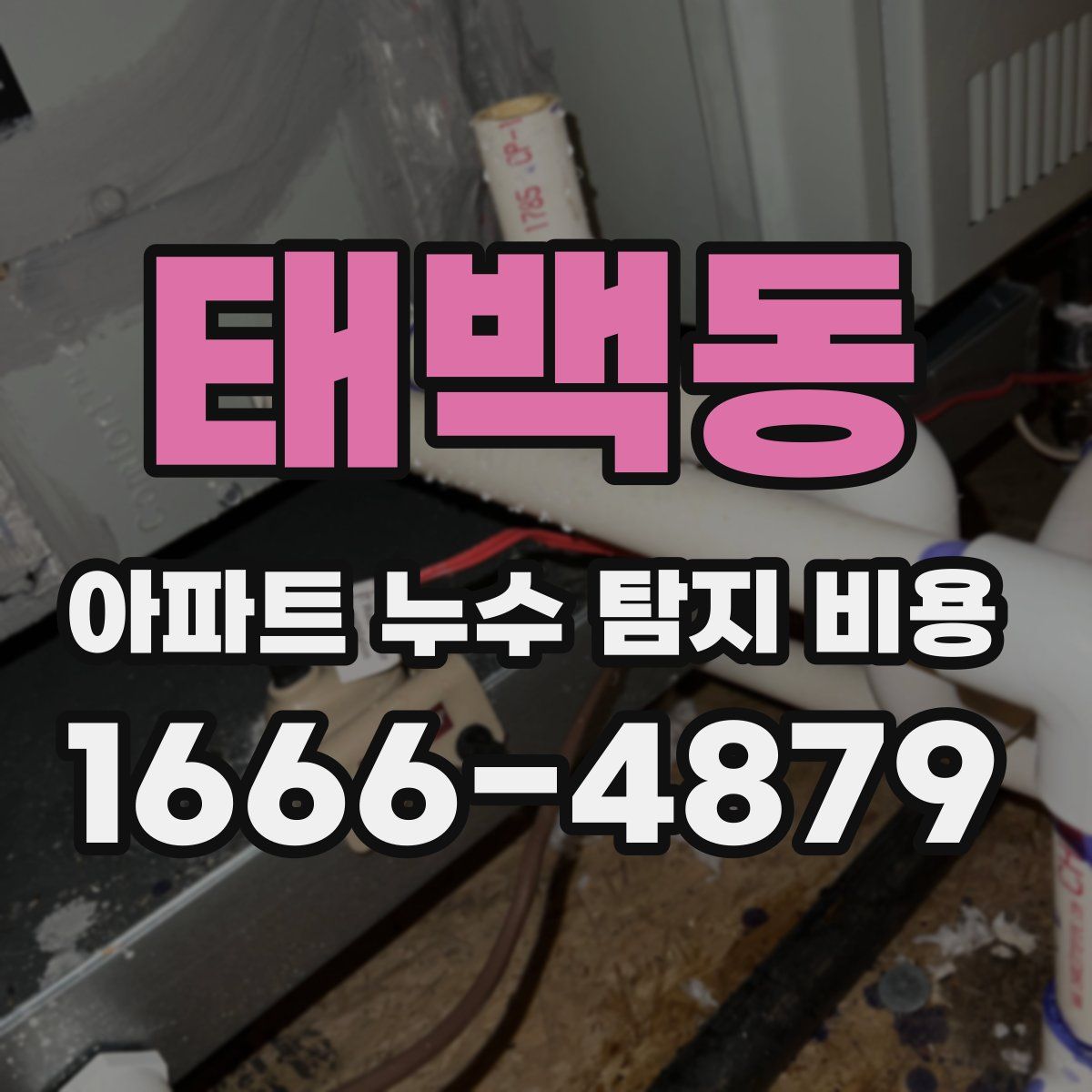 태백동 아파트 누수 탐지 비용
