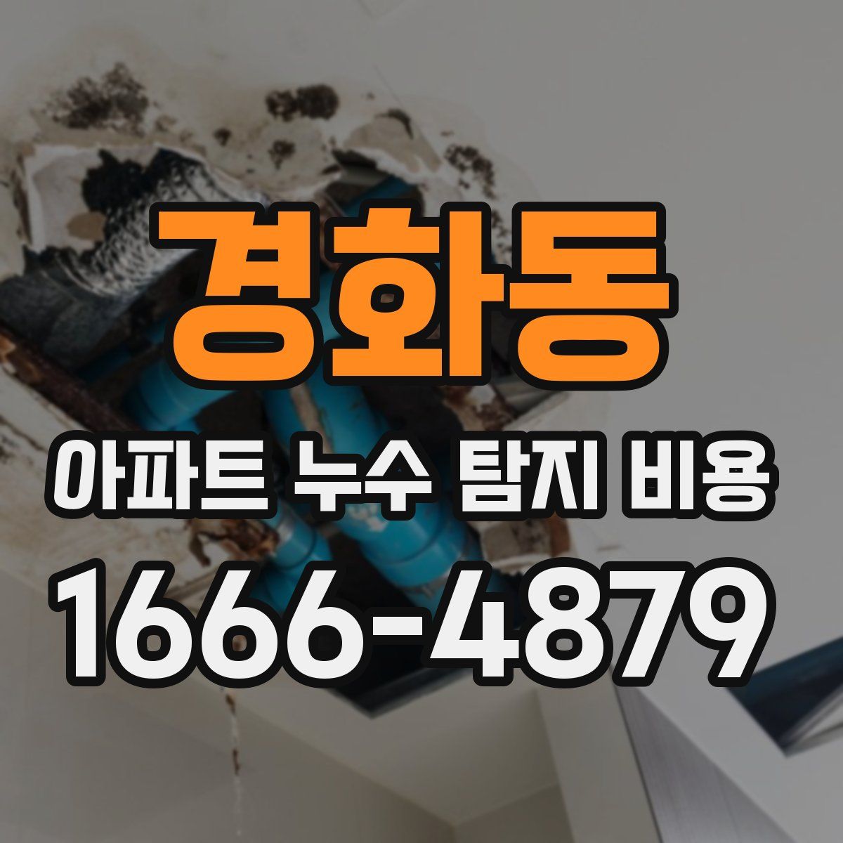 경화동 아파트 누수 탐지 비용