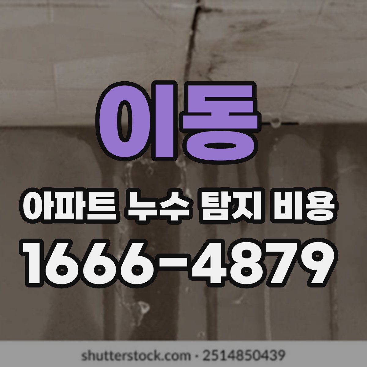 이동 아파트 누수 탐지 비용