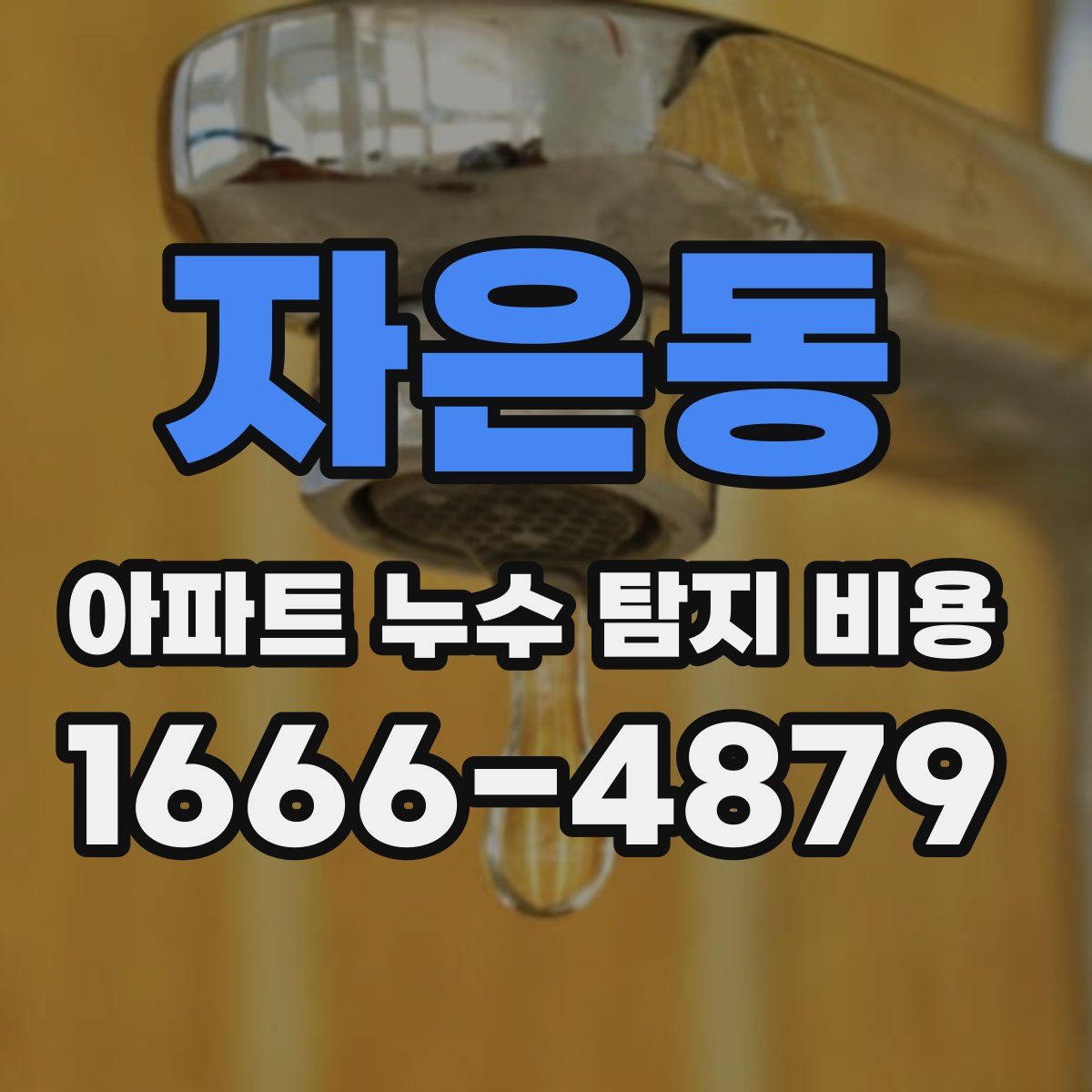 자은동 아파트 누수 탐지 비용