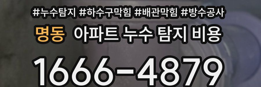명동 아파트 누수 탐지 비용
