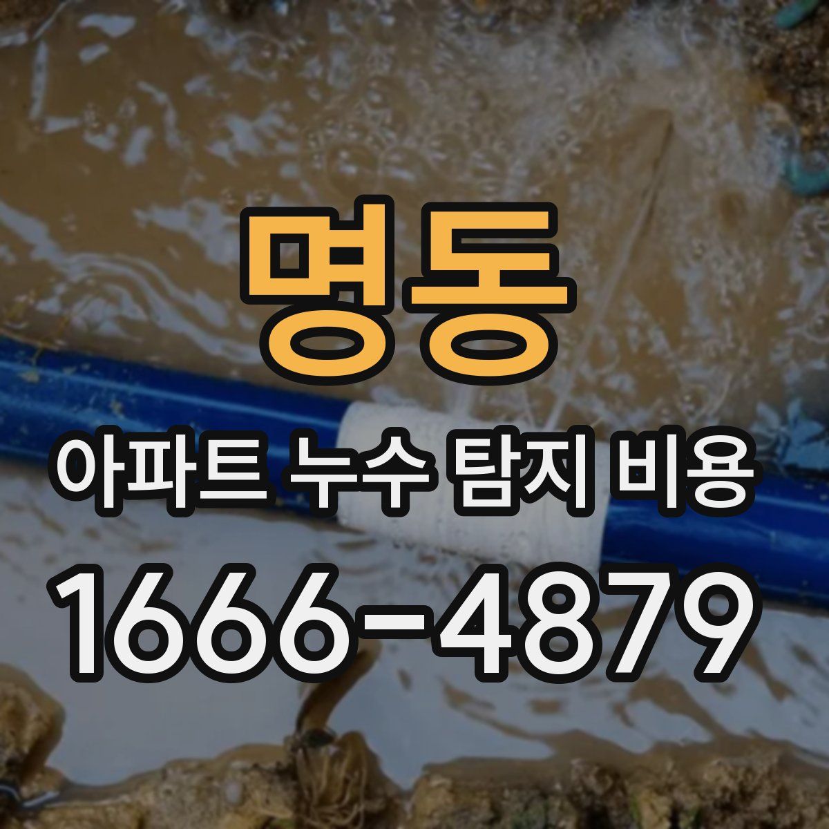 명동 아파트 누수 탐지 비용