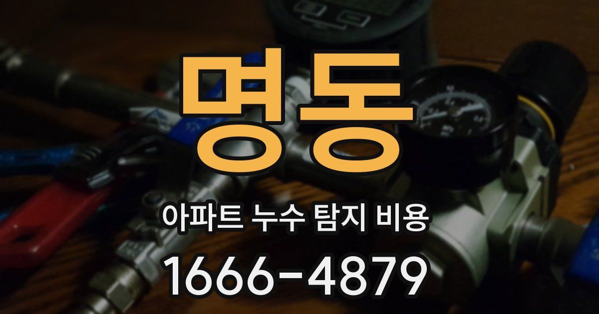 명동 아파트 누수 탐지 비용