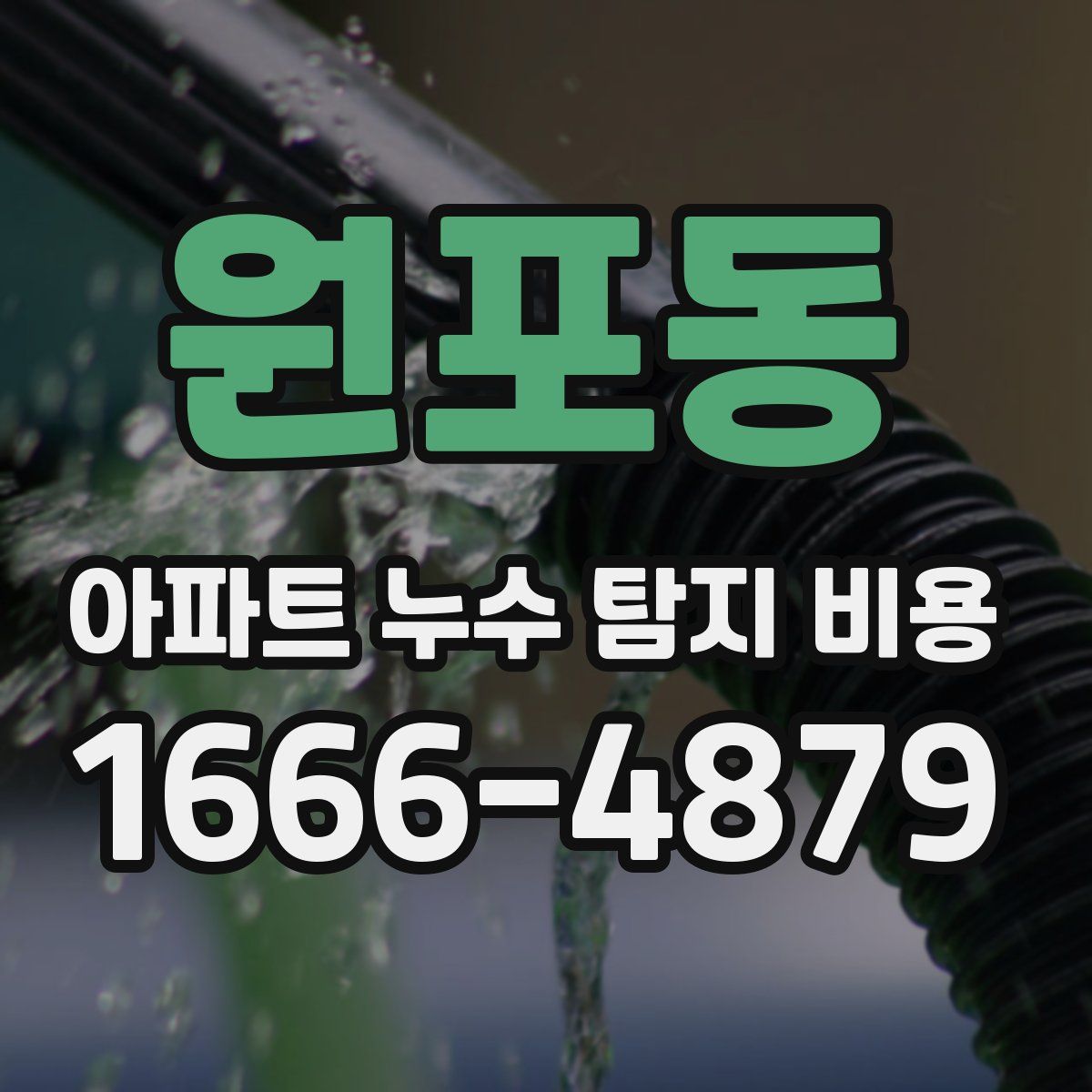 원포동 아파트 누수 탐지 비용