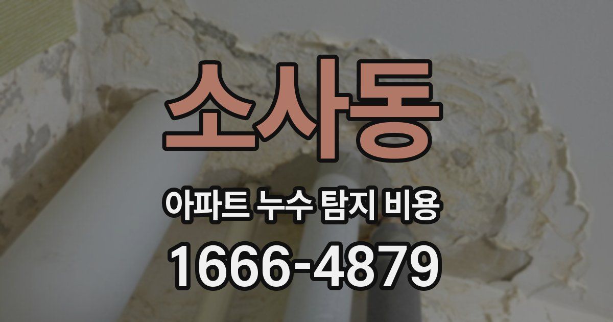 소사동 아파트 누수 탐지 비용
