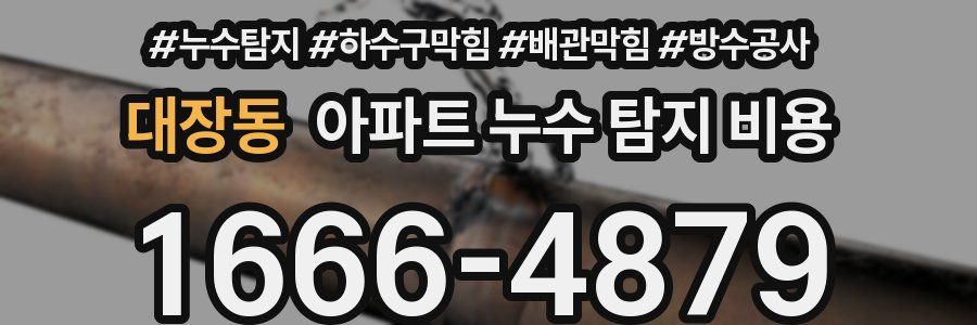 대장동 아파트 누수 탐지 비용
