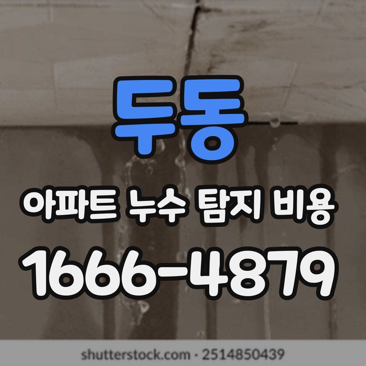 두동 아파트 누수 탐지 비용