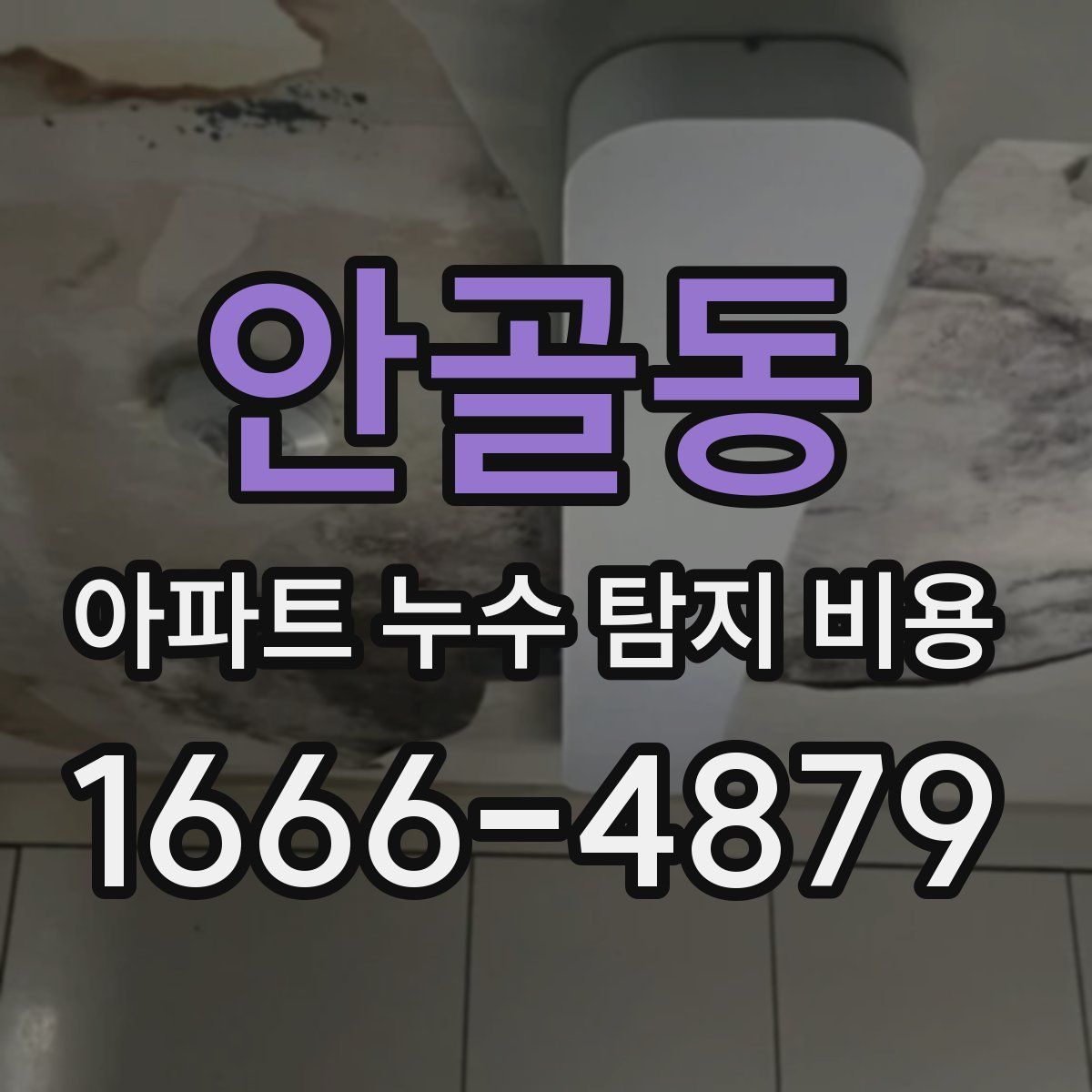 안골동 아파트 누수 탐지 비용
