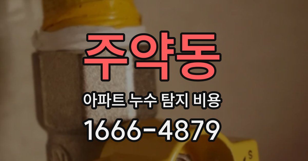 주약동 아파트 누수 탐지 비용