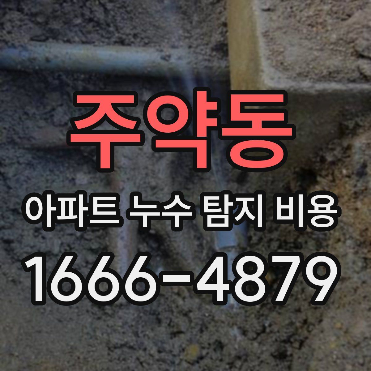 주약동 아파트 누수 탐지 비용