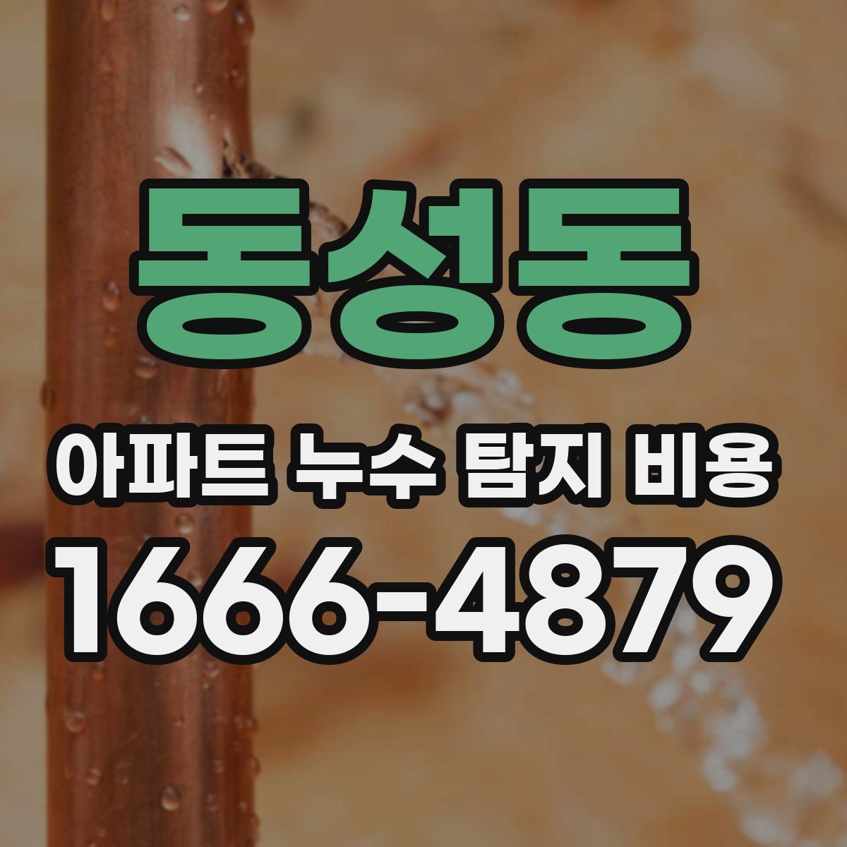 동성동 아파트 누수 탐지 비용