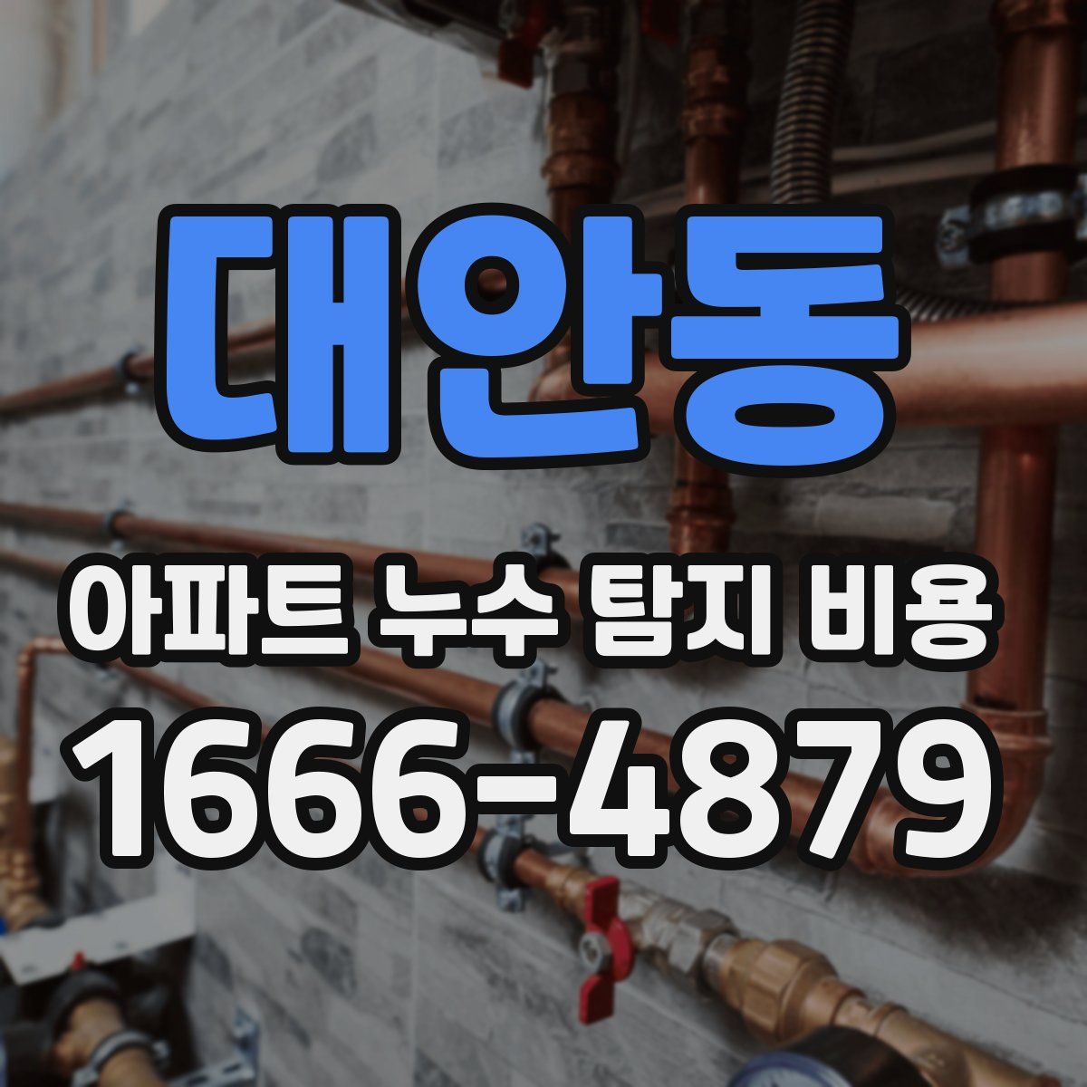 대안동 아파트 누수 탐지 비용