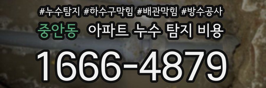 중안동 아파트 누수 탐지 비용