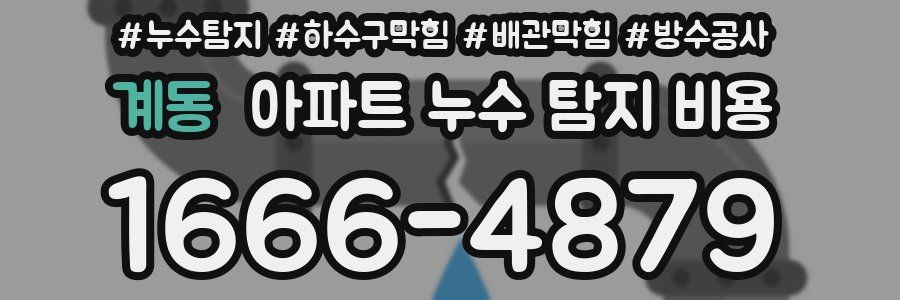 계동 아파트 누수 탐지 비용
