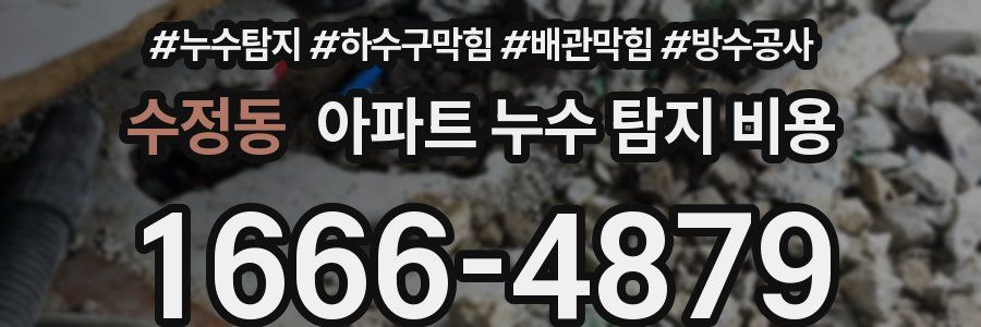 수정동 아파트 누수 탐지 비용