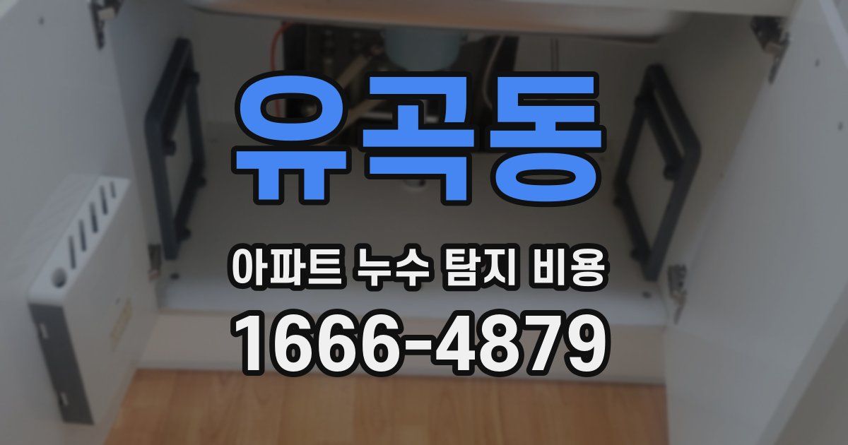 유곡동 아파트 누수 탐지 비용