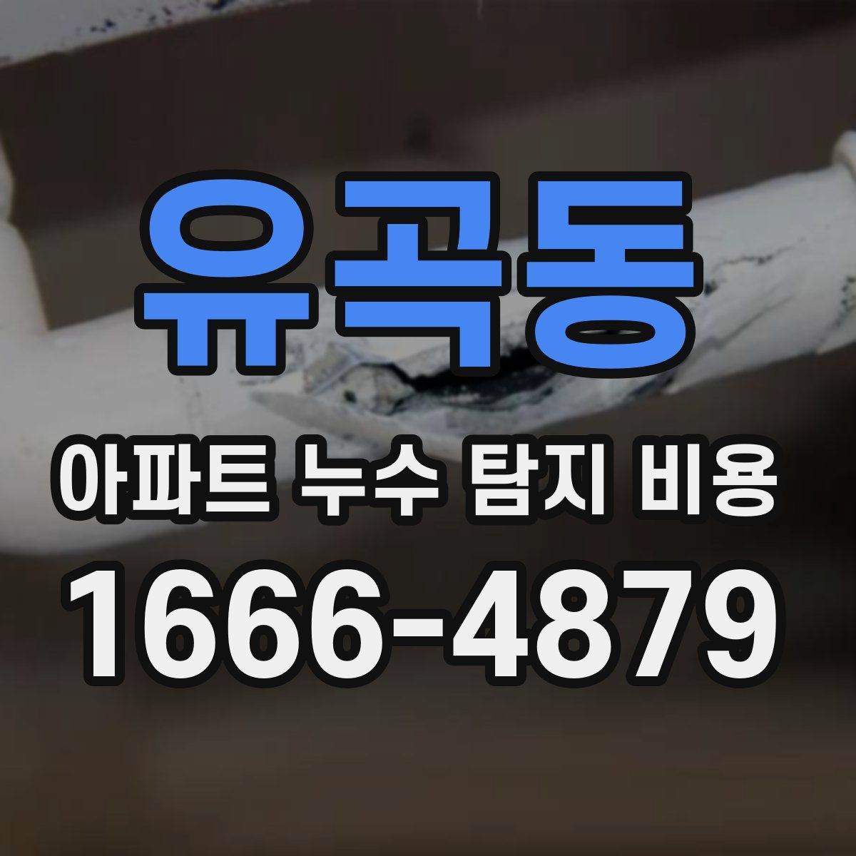유곡동 아파트 누수 탐지 비용