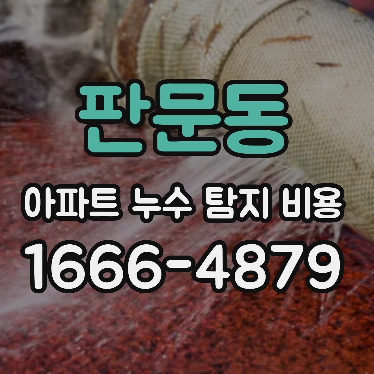 판문동 아파트 누수 탐지 비용