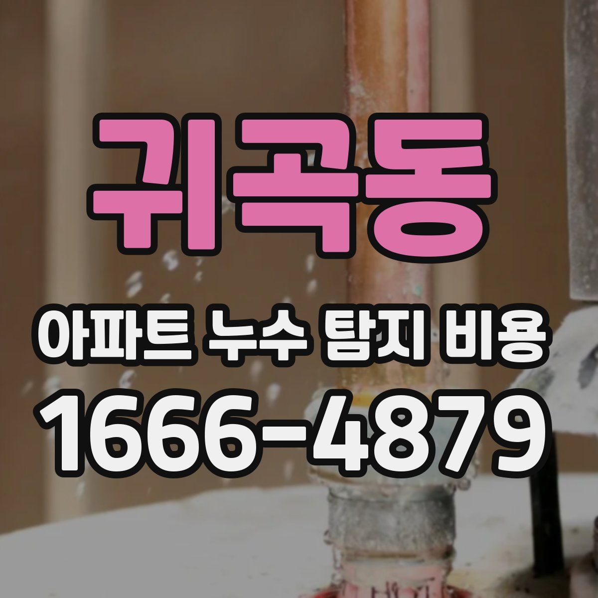 귀곡동 아파트 누수 탐지 비용