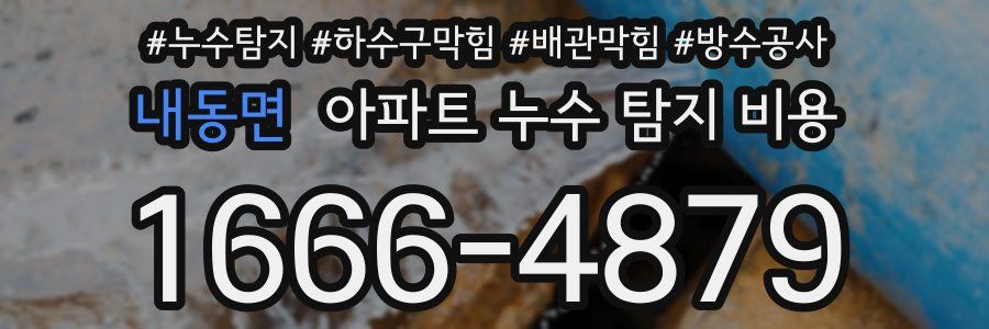 내동면 아파트 누수 탐지 비용