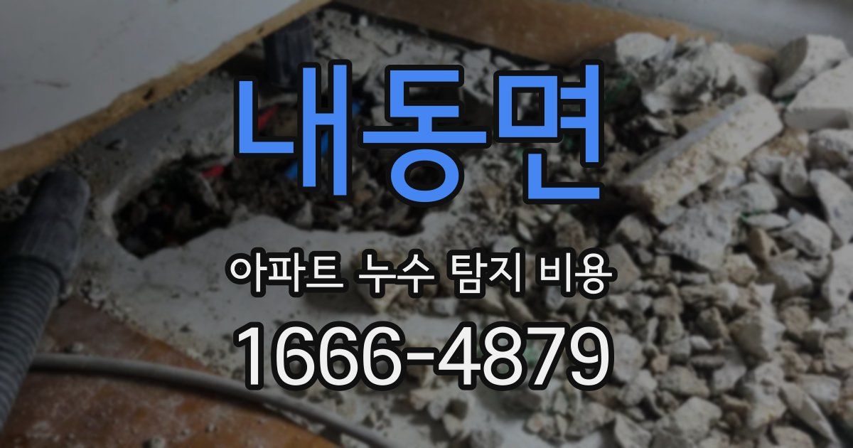 내동면 아파트 누수 탐지 비용