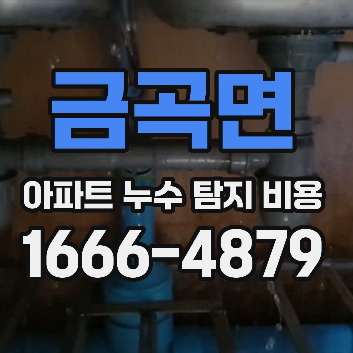 금곡면 아파트 누수 탐지 비용