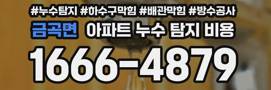 금곡면 아파트 누수 탐지 비용