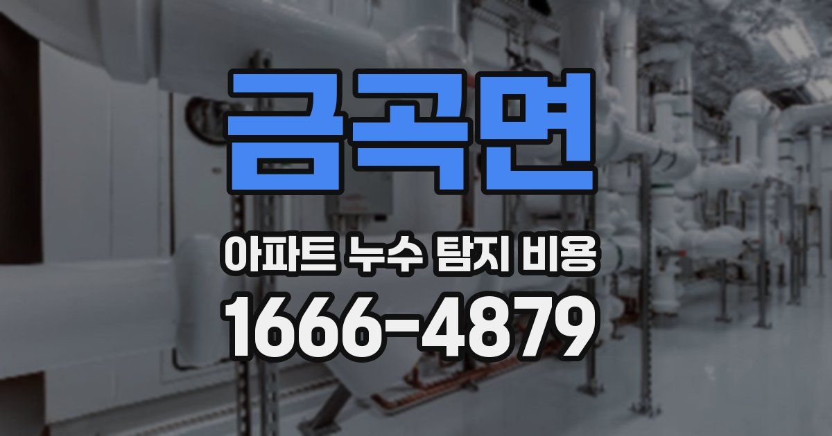 금곡면 아파트 누수 탐지 비용