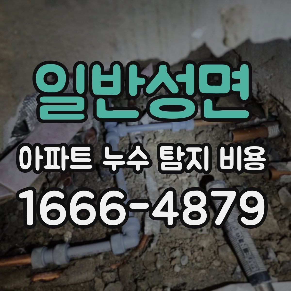 일반성면 아파트 누수 탐지 비용