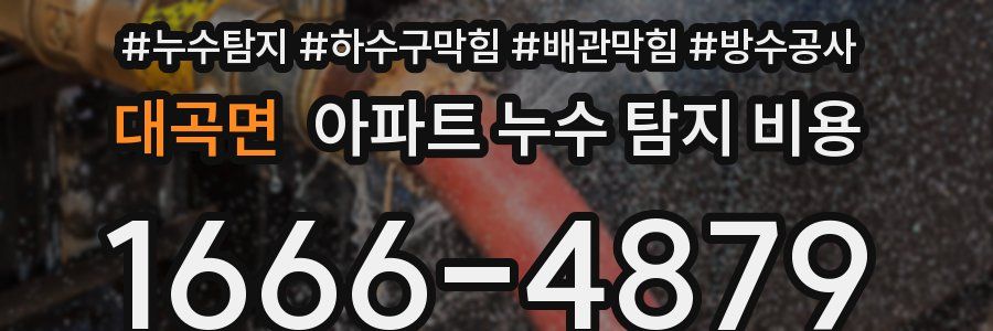 대곡면 아파트 누수 탐지 비용