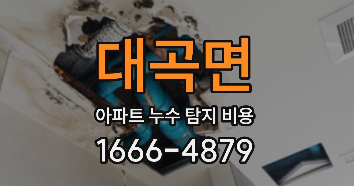 대곡면 아파트 누수 탐지 비용