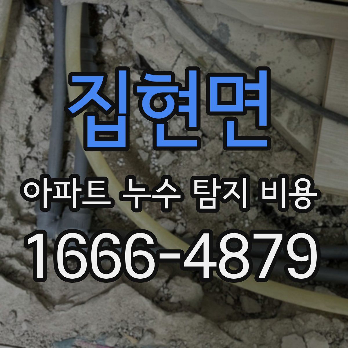 집현면 아파트 누수 탐지 비용