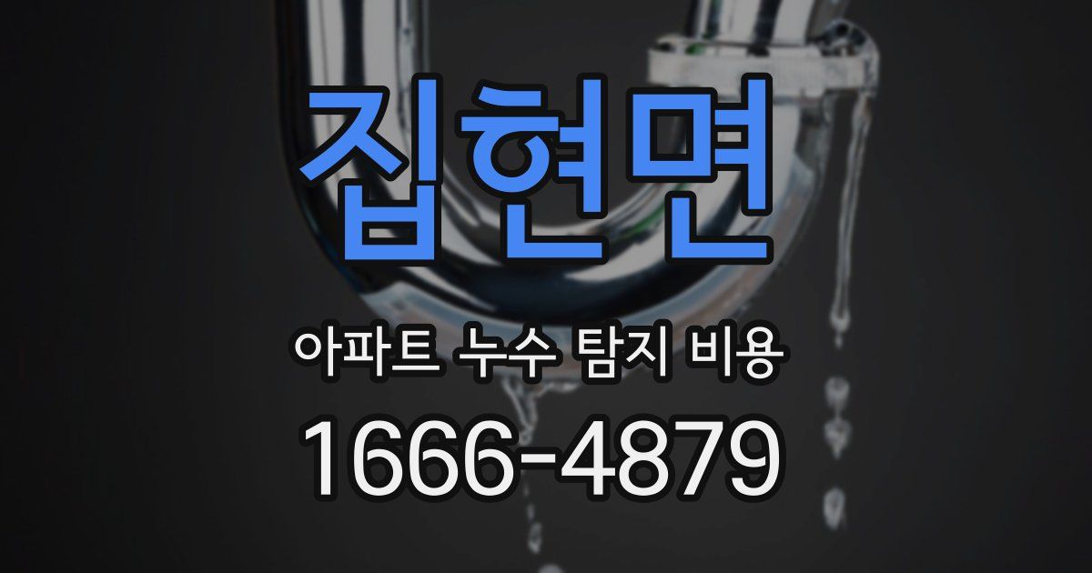 집현면 아파트 누수 탐지 비용
