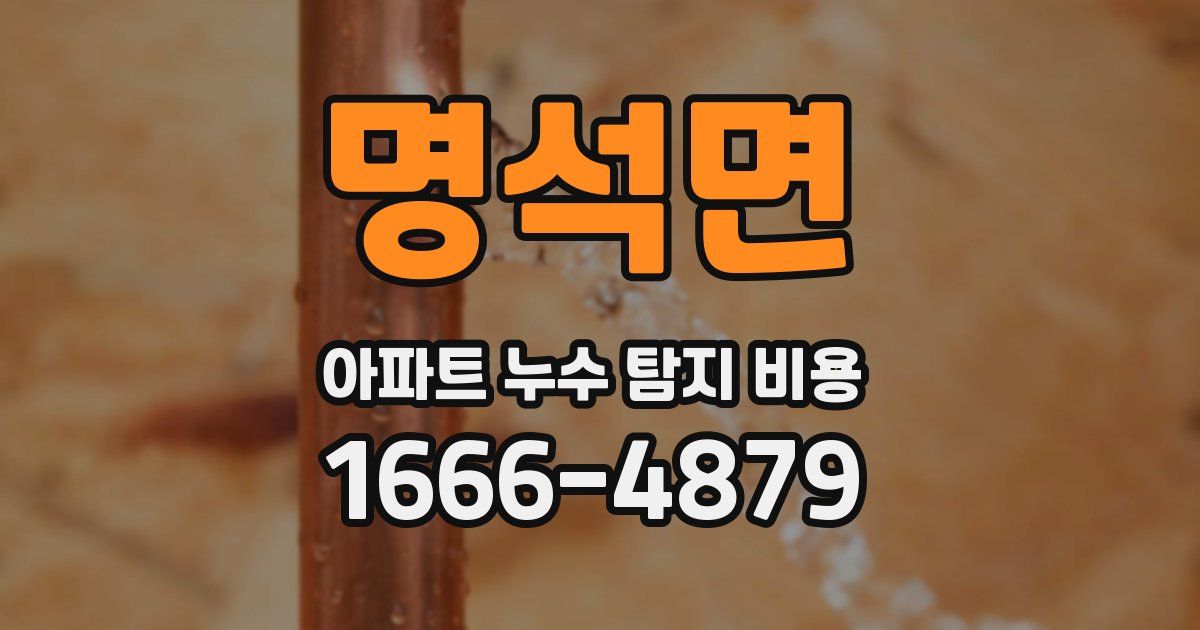명석면 아파트 누수 탐지 비용