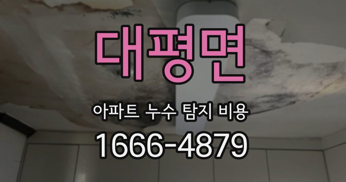 대평면 아파트 누수 탐지 비용