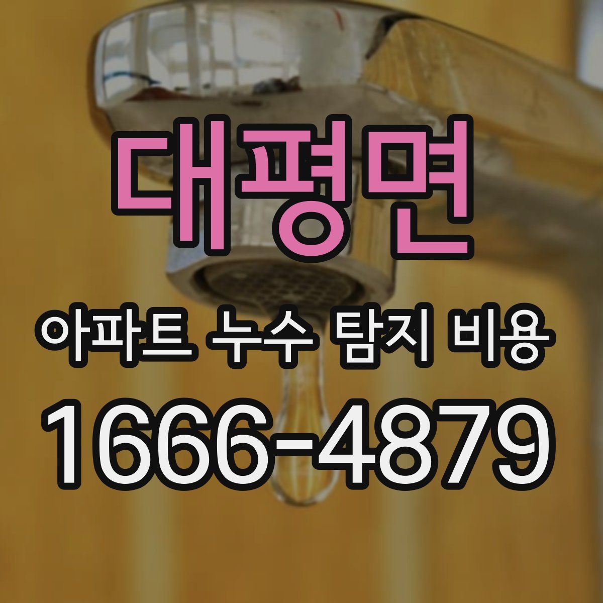 대평면 아파트 누수 탐지 비용
